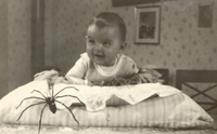 Baby mit geschmiedeter Spinne - Brauch aus Sdtirol